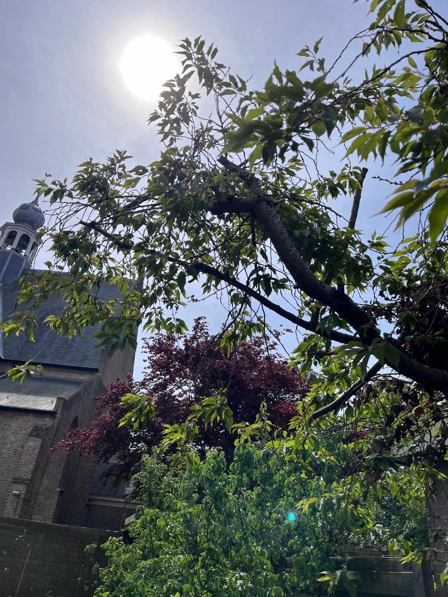 Appartement 'T-Yesenaertje Yerseke Dış mekan fotoğraf